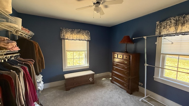 306 Magnolia Ave, Fayetteville, TN 37334 - photo 19