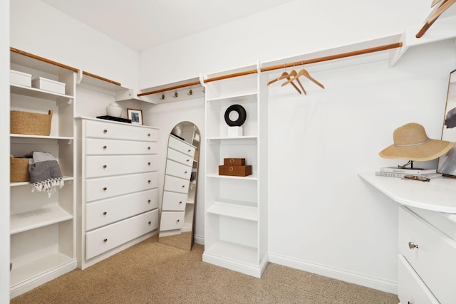 walk in closet featuring light colored carpet