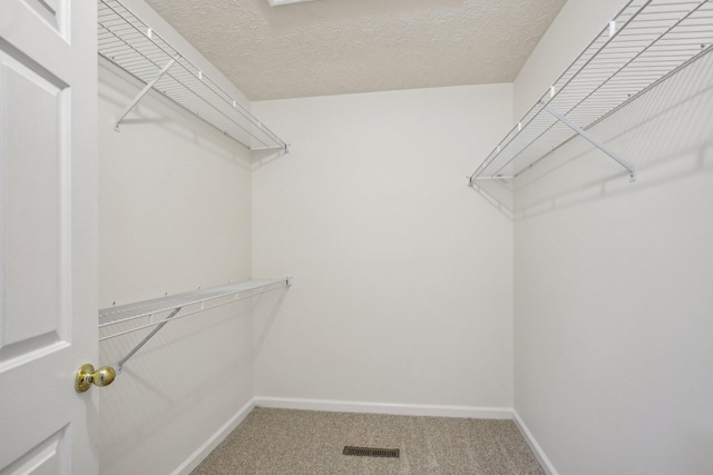 walk in closet with visible vents and carpet flooring