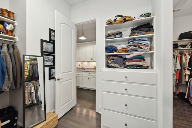 walk in closet featuring dark wood-type flooring and a sink