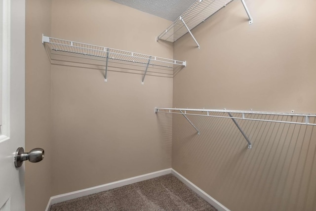 walk in closet with carpet floors