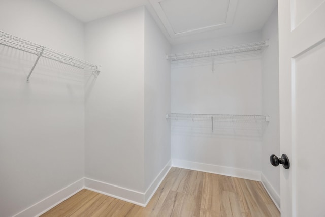 walk in closet featuring light wood finished floors