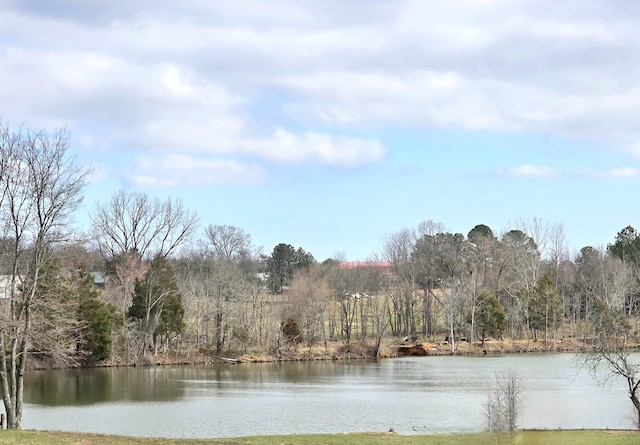 water view featuring a view of trees