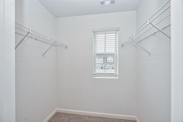 spacious closet featuring carpet flooring and visible vents