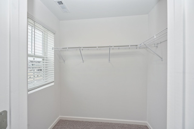 spacious closet featuring carpet and visible vents