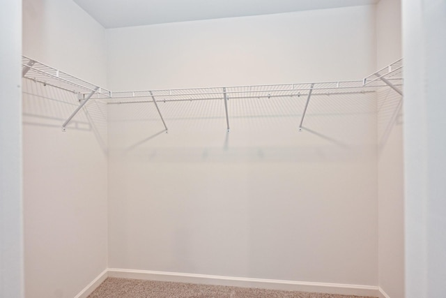 spacious closet featuring light carpet