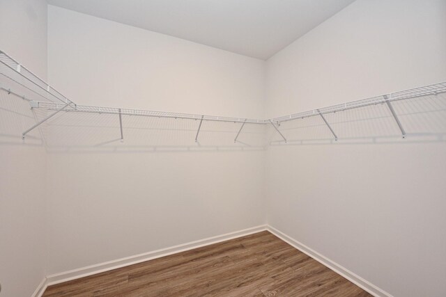 walk in closet with dark wood-type flooring