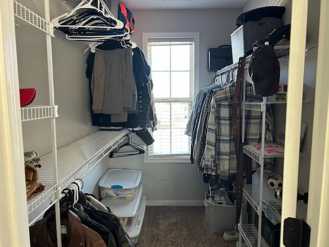 walk in closet featuring carpet