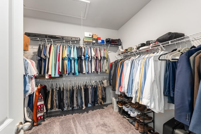 walk in closet featuring carpet and attic access