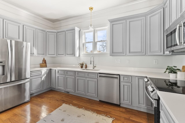 kitchen with appliances with stainless steel finishes, gray cabinets, a sink, and wood finished floors