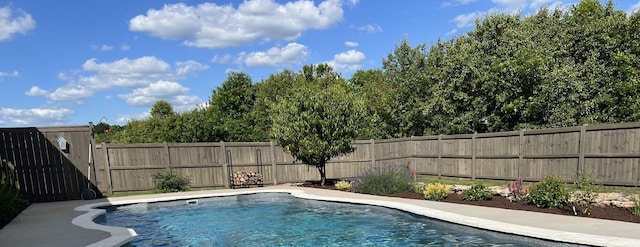 view of swimming pool featuring a fenced backyard