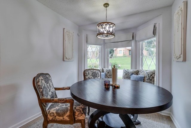 dining area with a textured ceiling, baseboards, a wealth of natural light, and wood finished floors