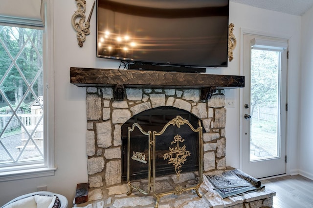 details featuring wood finished floors and a stone fireplace