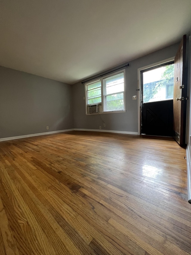 entrance foyer with baseboards and wood finished floors