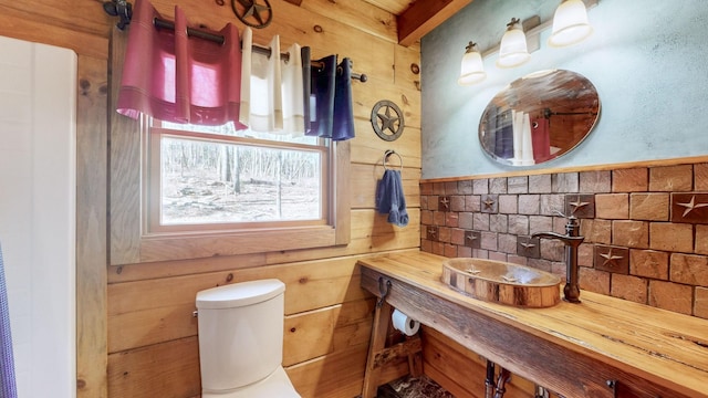 bathroom featuring toilet, tasteful backsplash, and a sink