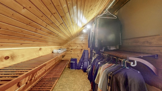 view of sauna with carpet flooring