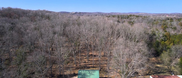 view of mountain feature featuring a forest view