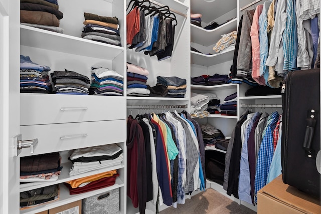 view of walk in closet