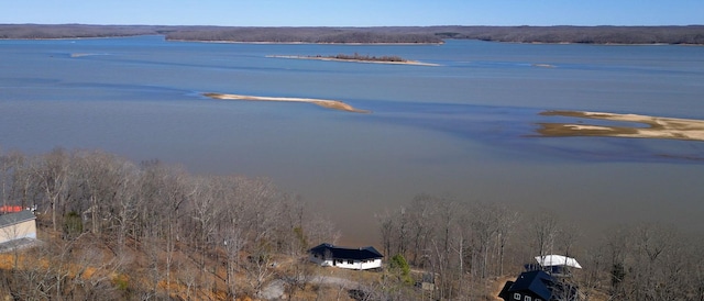 property view of water featuring a view of trees