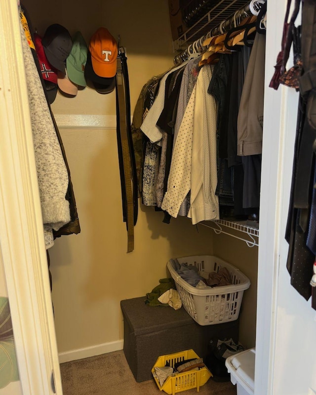 walk in closet featuring carpet flooring