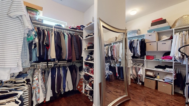 walk in closet with wood finished floors