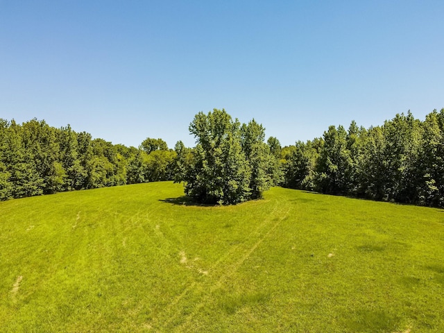 210 Reece Ln, Pulaski TN, 38478 land for sale