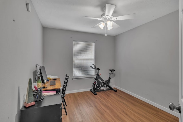 office featuring a ceiling fan, light wood-style flooring, and baseboards