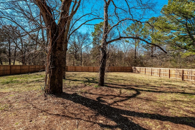 view of yard with a fenced backyard