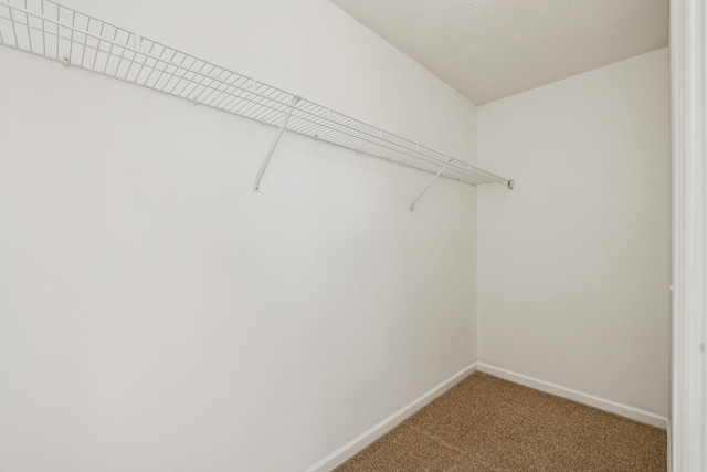 walk in closet featuring carpet