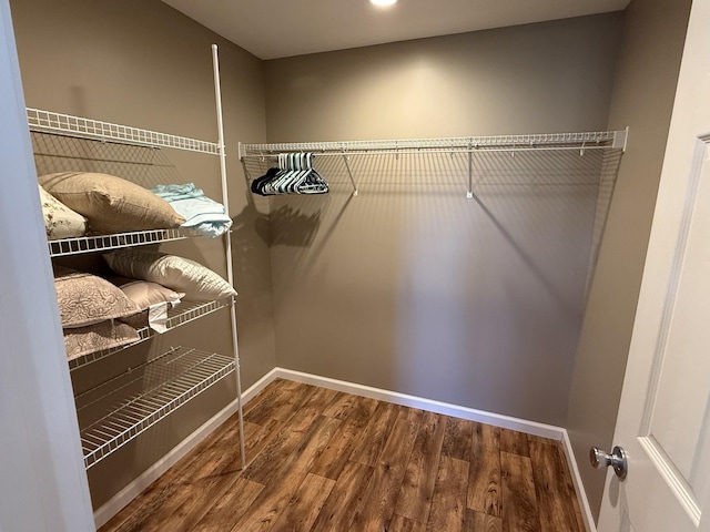 spacious closet featuring wood finished floors