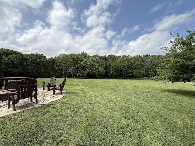 334 N Centerpoint Rd, Portland, TN 37148 - view of grassy yard featuring a patio and a forest view