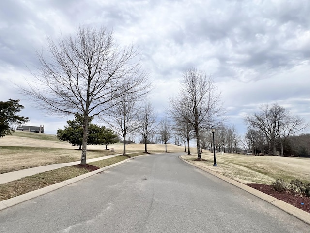 view of road with street lights, curbs, and sidewalks