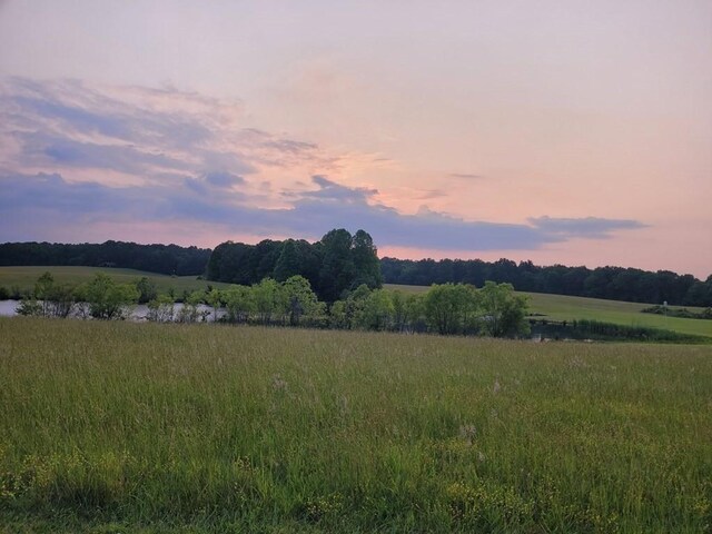 0 Bunkhouse Rd, Spencer, TN 38585 - photo 4