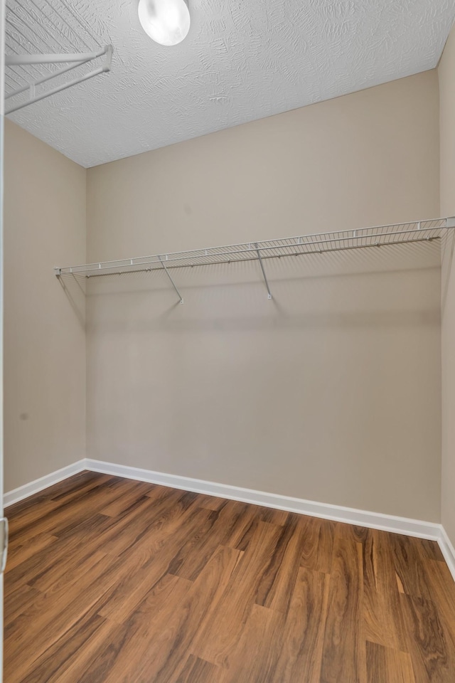 walk in closet featuring wood finished floors