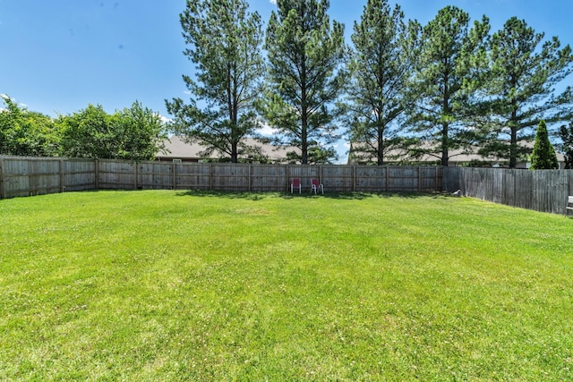 view of yard featuring a fenced backyard