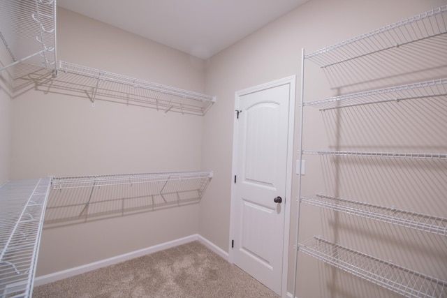 walk in closet with carpet