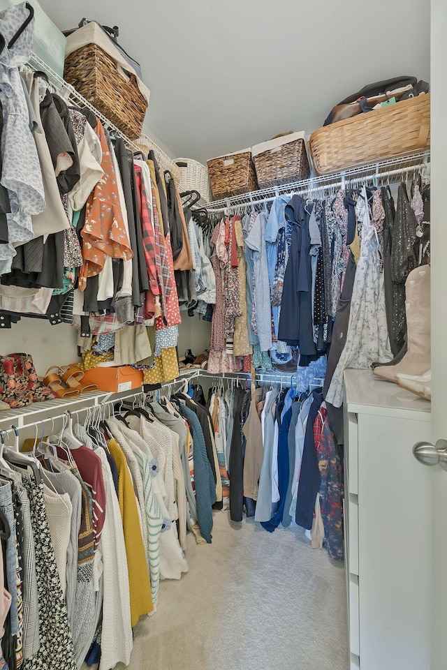 spacious closet featuring carpet