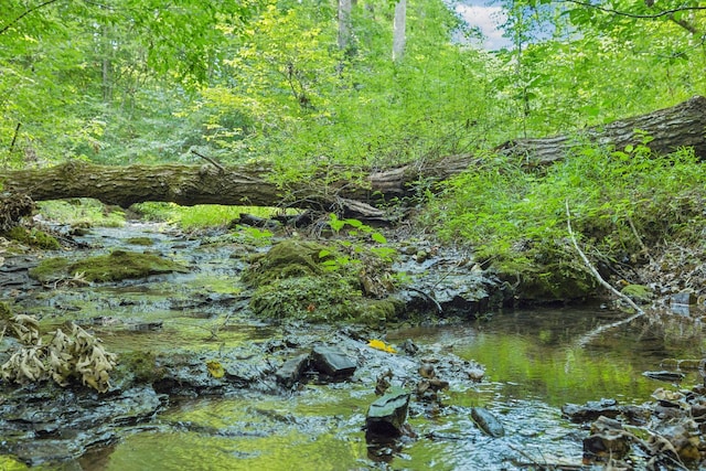 view of nature with a wooded view