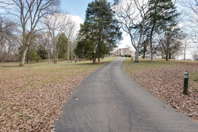 view of street featuring aphalt driveway