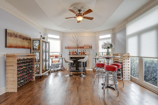 interior space featuring a bar, a healthy amount of sunlight, a tray ceiling, and wood finished floors