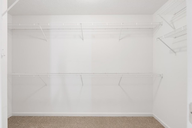 spacious closet with carpet