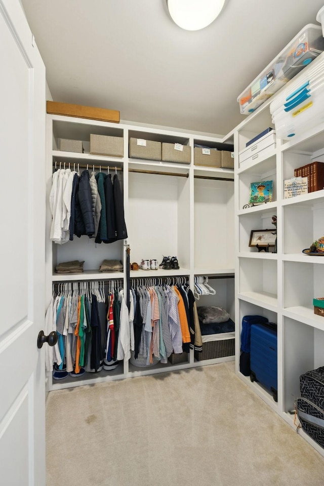 spacious closet featuring carpet flooring