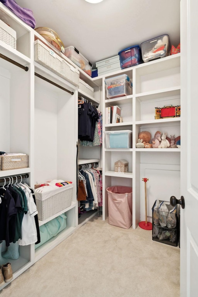 spacious closet with carpet