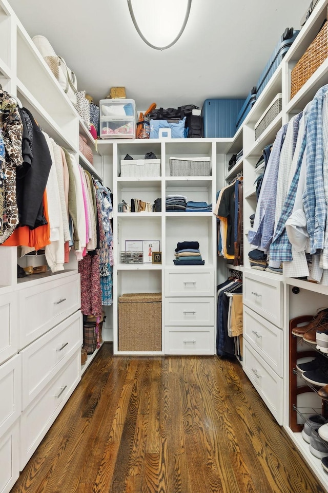 spacious closet featuring dark wood-style flooring