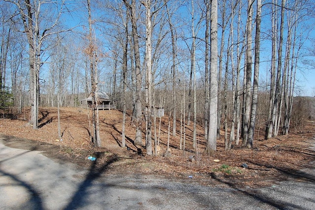 Listing photo 2 for 536 Ski View Dr, Dunlap TN 37327