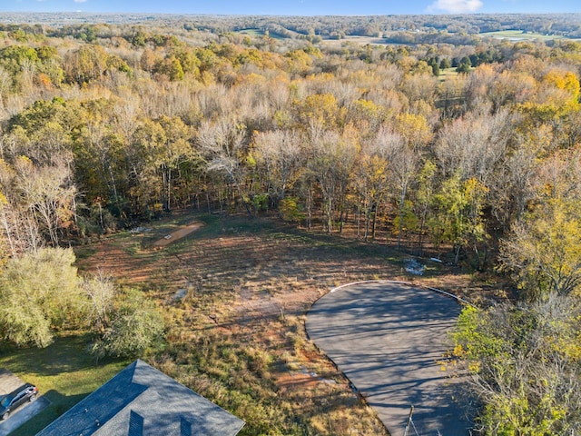 0 Thompkins Ln W, Clarksville, TN 37043 - photo 4