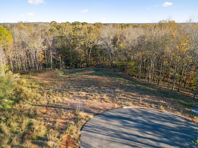 0 Thompkins Ln W, Clarksville TN, 37043 land for sale