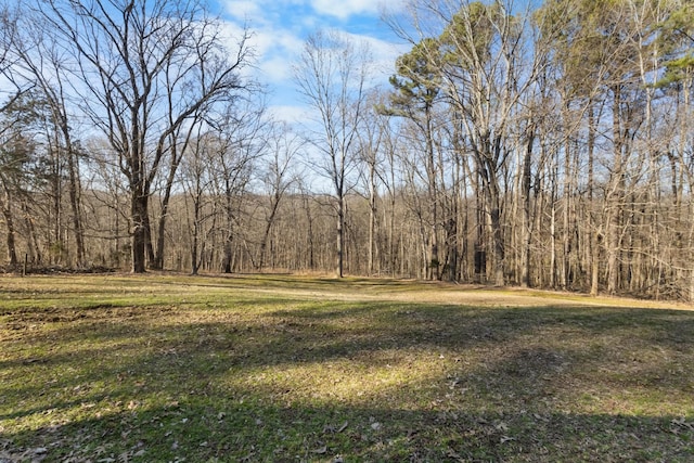 view of yard featuring a wooded view