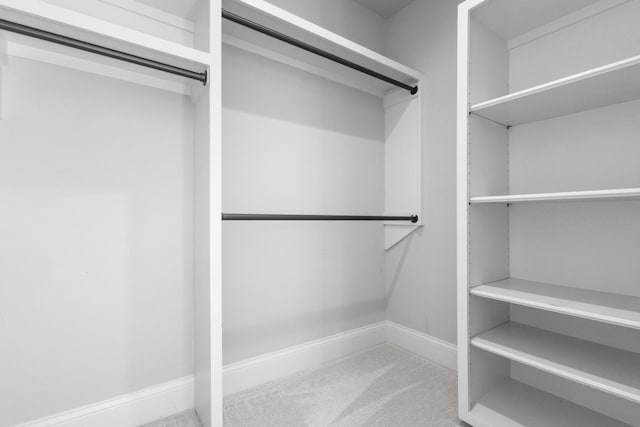 walk in closet with carpet flooring