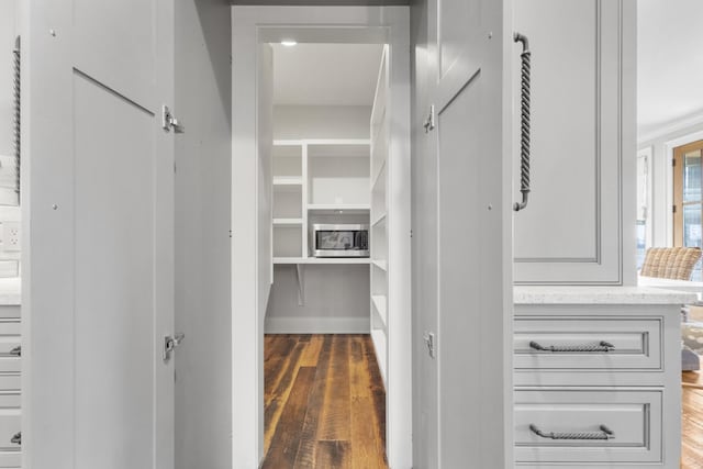 walk in closet featuring wood finished floors